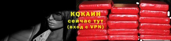 гашик Арсеньев
