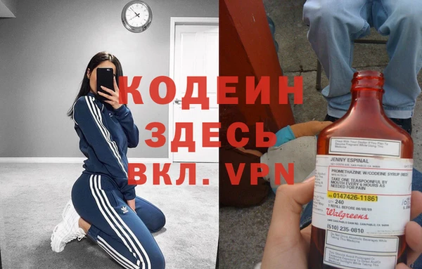 гашик Арсеньев