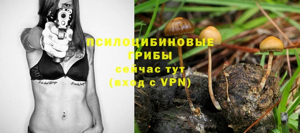 спиды Иннополис