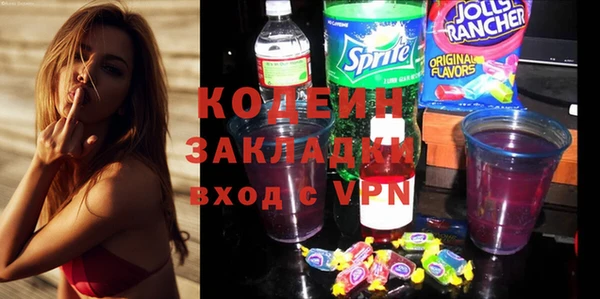 гашик Арсеньев