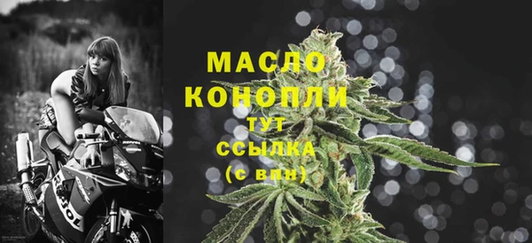 гашик Инта