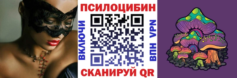 купить   Ряжск  Псилоцибиновые грибы Psilocybe 